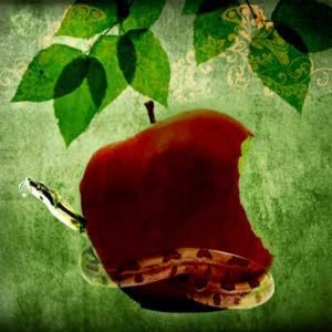 Forbidden Fruit Hand Poured Soy (6.5 oz) Candle